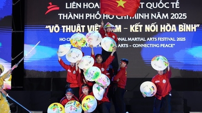 Międzynarodowy Festiwal Sztuk Walki w Ho Chi Minh City 2025: Zebrano 1 miliard VND dla ofiar powodzi