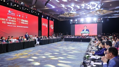 کارآفرینان جوان پیشگام، برای عصر جدید ارزش می‌آفرینند