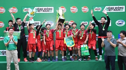 2025 Hanoi İlkokul Basketbol Turnuvası'nın 2 şampiyonu belirlendi