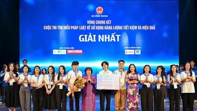 Verspreiding van wetten over energiebesparing en -efficiëntie onder jongeren