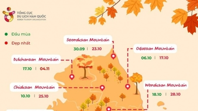 Корея восени: посібник з полювання на золоте листя в популярних місцях