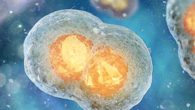 Nawracający, lekooporny rak: Nowa nadzieja w terapii komórkami Car-T