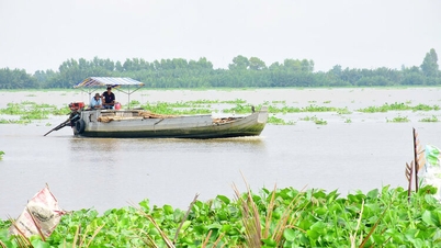 តាមដងទន្លេ Cai Lon