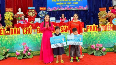 Dinh My helps women overcome difficulties and reduce poverty