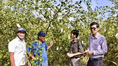 Uprostřed bouřlivého období hřeje láska k večírkům lidem srdce.
