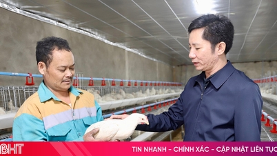 ទស្សនវិស័យ​ពី​គំរូ​ចិញ្ចឹម​មាន់​ធំ​នៅ​ឃុំ Mai Hoa