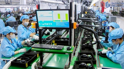 クアンニン省、国内収入を突破