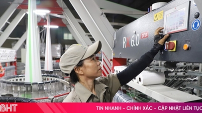 ธุรกิจต่างๆ ในจังหวัดฮาติญกำลังพยายามอย่างหนักเพื่อเอาชนะอุปสรรคและมุ่งมั่นที่จะบรรลุเป้าหมายก่อนกำหนด