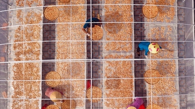 تطوير القرى الحرفية المرتبطة بالتخصصات