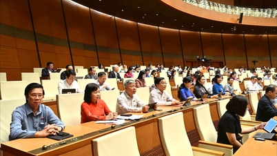 Národní shromáždění projednávalo rozvoj tisku v kontextu zefektivnění aparátu.