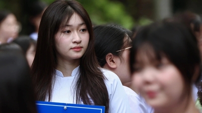 Pilotní projekty výuky umělé inteligence ve školách od základních až po střední školy