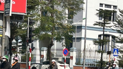 پیش‌بینی آب و هوا برای ۲۴ نوامبر: شمال از افزایش هوای سرد استقبال می‌کند و نسبت به خطر باران شدید در منطقه مرکزی هشدار داده شده است.