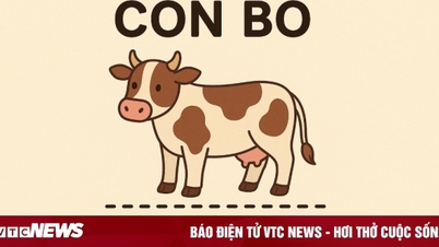 Které vietnamské slovo lze ponechat jako „con bò“ a zároveň odstranit, protože stále zůstane „con bò“?