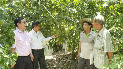 Însoțire pentru crearea de locuri de muncă și venituri stabile