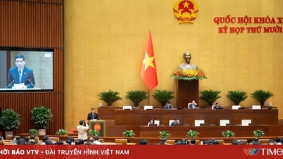 11월 24일 국회는 언론법(개정안) 초안을 논의했다.