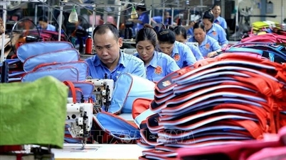 ຍູ້​ແຮງ​ການ​ຮ່ວມ​ມື, ການ​ຄ້າ​ລະ​ຫວ່າງ​ຫວຽດ​ນາມ ແລະ ບຸນ​ກາ​ຣີ