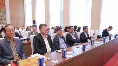 제1회 법학전문대학원 포럼을 돌아보며: 현대적이고 안정적이며 명확하고 유연하며 인도적인 법학전문대학원 건설