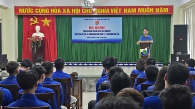 Η Dak Lak ξεκίνησε εθελοντικές ομάδες νέων...