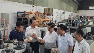 Совершенствование механизма координации реализации мероприятий по продвижению промышленности