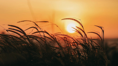 "मिनिएचर सापा" की यात्रा: बिन्ह लियू पहाड़ों और जंगलों की राजसी और काव्यात्मक सुंदरता में डूब जाइए