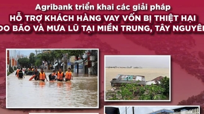 Agribank បន្តអនុវត្តគោលនយោបាយកាត់បន្ថយអត្រាការប្រាក់កម្ចីរហូតដល់ 2%/ឆ្នាំ ដើម្បីគាំទ្រអតិថិជនដែលរងផលប៉ះពាល់ដោយព្យុះលេខ 12 និង 13 និងទឹកជំនន់។