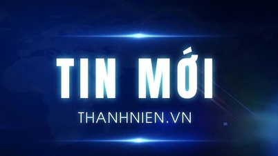 オンラインディスカッション：天然栄養素で子どもの脳を養う