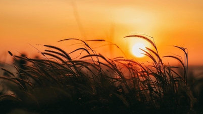 נסיעה ל"סאפה המיניאטורית": טבלו את עצמכם ביופי המלכותי והפיוטי של הרי ויערות בין ליו