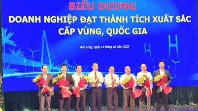 Vinh Long realizuje rezolucję 02/NQ-CP: Środowisko biznesowe ulega poprawie, przedsiębiorstwa dokonują przełomów