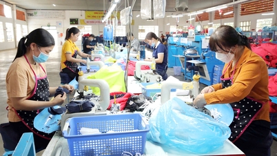 Fortaleciendo soluciones para garantizar la seguridad laboral