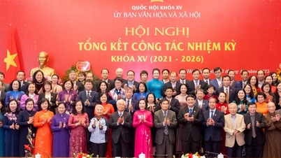 គណៈកម្មាធិការ XV ស្តីពីវប្បធម៌ និងសង្គម៖ ការយល់ដឹង អមដំណើរ ដើម្បីការអភិវឌ្ឍន៍ប្រកបដោយសុខដុមរមនា