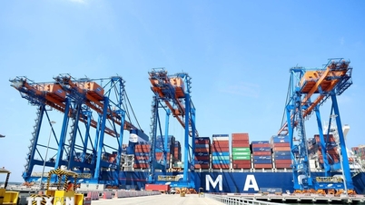 Vietnam-Bulgaria expand local cooperation and boost trade