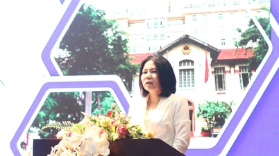 Khoảng trống pháp lý “đóng băng” quyền kinh doanh hợp pháp của doanh nghiệp