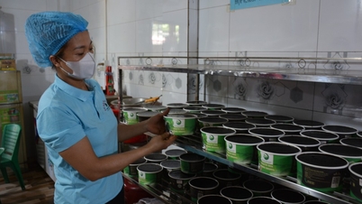 Pengembangan Koperasi That Khe