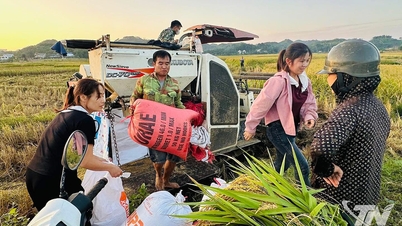Fragrant scent of Hop Thanh sticky rice and lychee