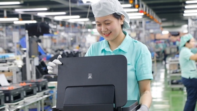 កិច្ចសហប្រតិបត្តិការវិនិយោគជប៉ុន-បាកនិញ