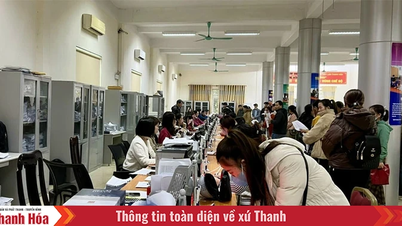 ការព្យាករណ៍ដែលអាចបត់បែនបាន ការពង្រីកឱកាសការងារ