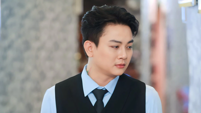 Dan Truong, Hoai Lam, Thoai My, Hong Loan and many other artists join hands with the people of Central Vietnam.