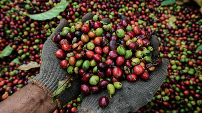 Vietnamese goods entering the US exceed 126 billion USD, highest in history