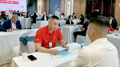 Giai đoạn 2021 - 2025, hơn 83.800 thanh niên Lào Cai được giải quyết việc làm