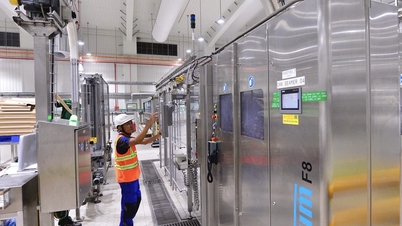 טרנספורמציה דיגיטלית וחדשנות לקידום פיתוח