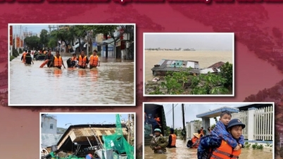 Agribank tiếp tục giảm 2%/năm lãi suất cho vay hỗ trợ khách hàng bị thiệt hại do bão lũ