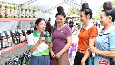 Memastikan kemajuan komponen dan kegiatan proyek GREAT 2 Son La