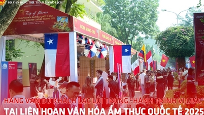 Hàng vạn du khách lạc lối trong "hành trình vị giác" tại Liên hoan văn hóa ẩm thực Quốc tế 2025