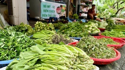 Bộ Công Thương: Nguồn cung rau xanh sẽ sớm ổn định