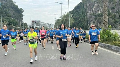 Kỷ lục số lượng vận động viên tham gia Giải Marathon Quốc tế Di sản Hạ Long 2025