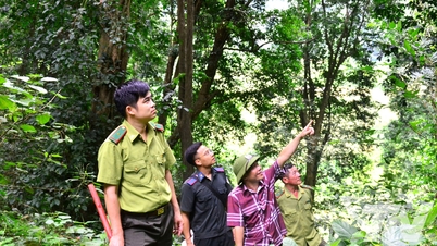 Bảo vệ rừng cao điểm mùa khô