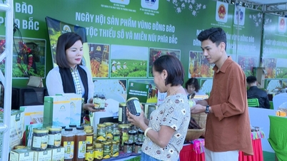 Lai Châu phát triển kinh tế tư nhân - Động lực cho tăng trưởng bền vững