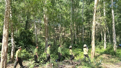 Phát huy sức mạnh cộng đồng trong quản lý, bảo vệ rừng