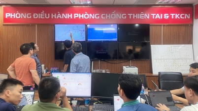 Jabatan Sains dan Teknologi Bandaraya Ho Chi Minh menyokong Khanh Hoa dalam mengatasi akibat banjir