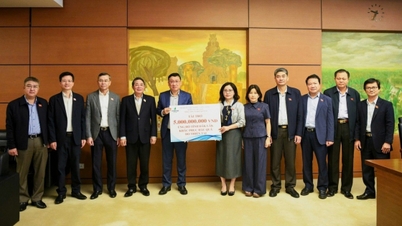 PV GAS se une para ayudar a la gente de Dak Lak a superar las consecuencias de las inundaciones